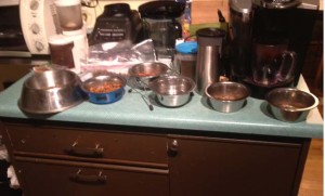 All the dog dishes are neatly lined up with each dog having his/her special meal.